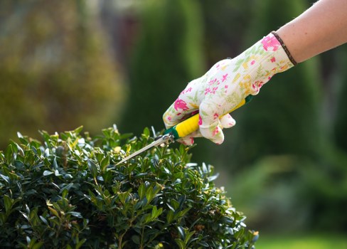 Professional artificial grass surface for a residential or commercial property in Turnhamgreen