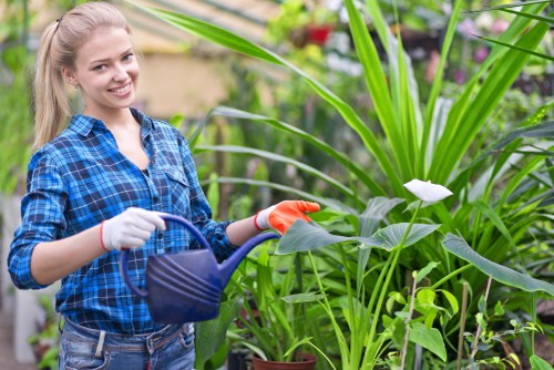 About Us Landscaping Turnhamgreen landscape design and planting concept