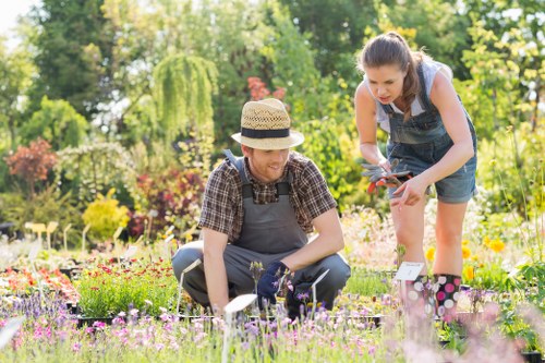 Landscaping Turnhamgreen staff reviewing ethical sourcing documents