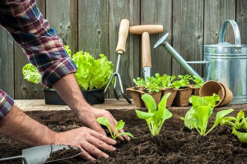A practical garden makeover process in Turnhamgreen with cleared space and site preparation
