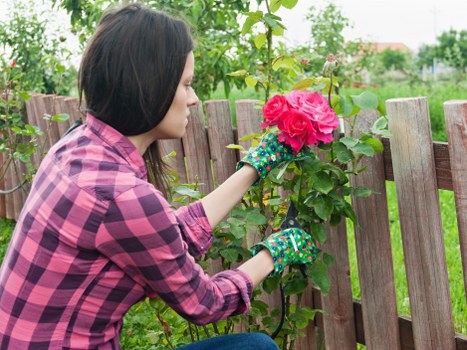 Inclusive landscaping website access for the Turnhamgreen area