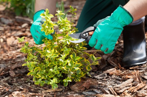 Workers applying health and safety measures during landscaping tasks