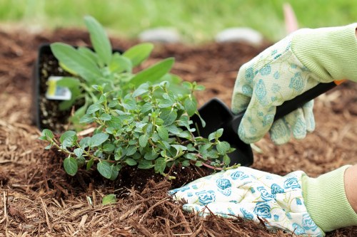 Professional landscaping in Turnhamgreen featuring soft and hard landscape elements