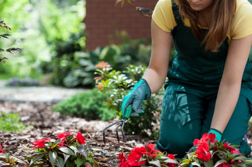 Trained landscapers carrying out outdoor maintenance with care