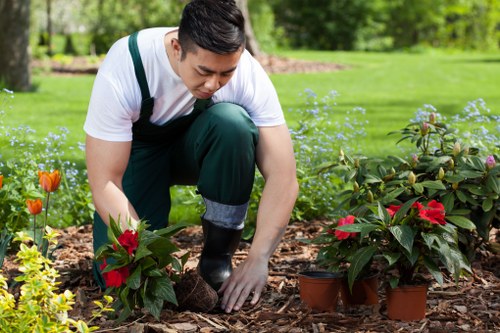 Organic garden cuttings and compostable waste separated for recycling