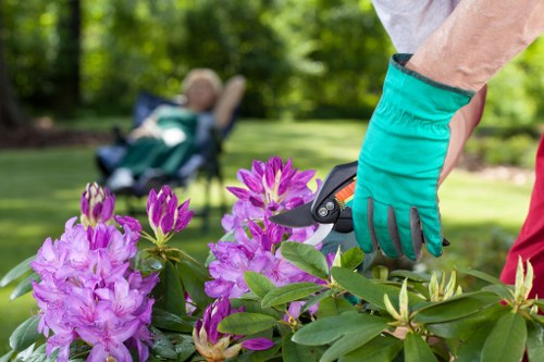 Free quote policy for landscaping services in Turnhamgreen