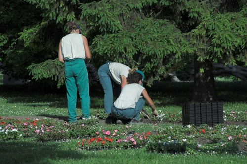 Risk assessment and safe site planning for landscaping work