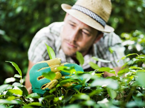 Final secure Landscaping Turnhamgreen payments confirmation screen