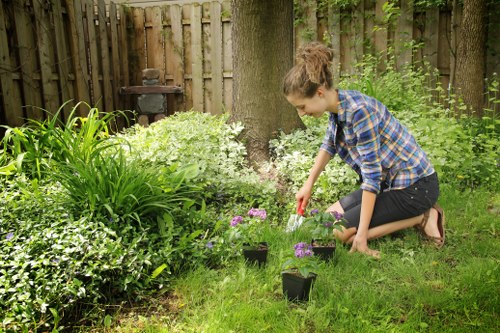 Turnhamgreen landscaping with structured garden layout and greenery