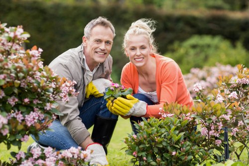 Accessibility review of Turnhamgreen landscaping information
